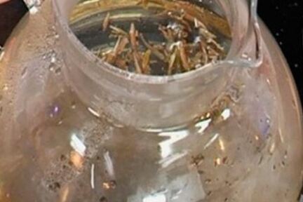 Чай Молочный улун