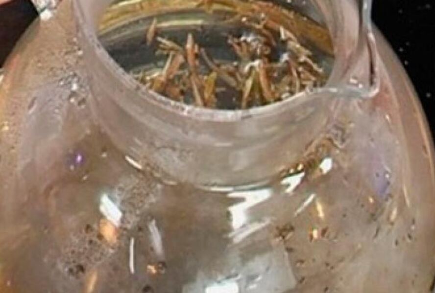 Чай Молочный улун