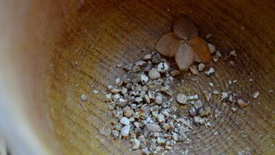 чай с грушей и белым перцем