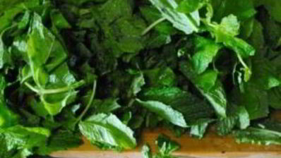 имбирно-мятный чай