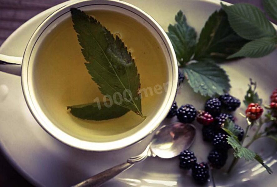 Листья ежевики чай