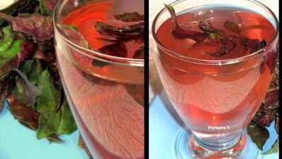 очень полезный, вкусный холодный чай из базилика