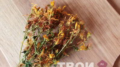 травяной чай