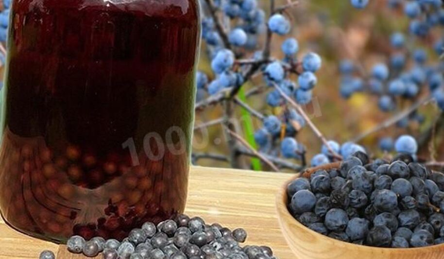 Рецепт домашнего тернового вина из терна