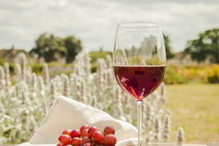 Домашнее вино из Лидии