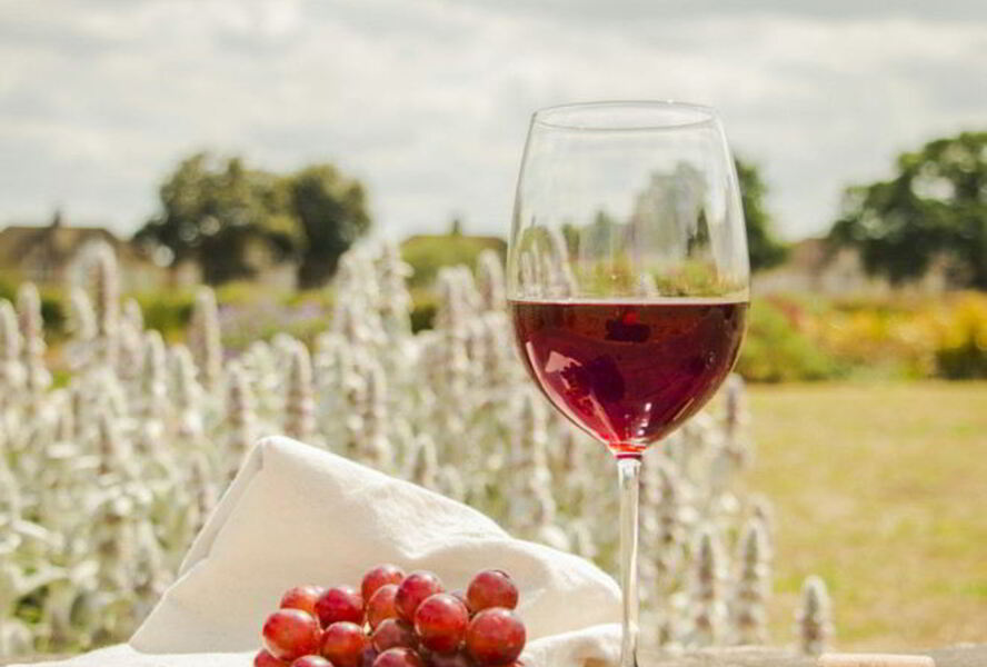 Домашнее вино из Лидии