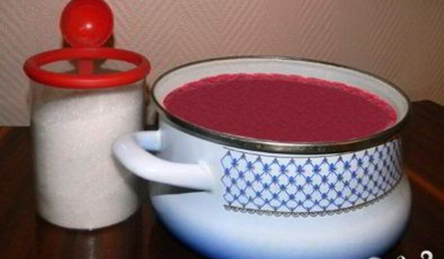 Рецепт клюквенного сиропа на зиму