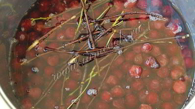 вишневый ликер