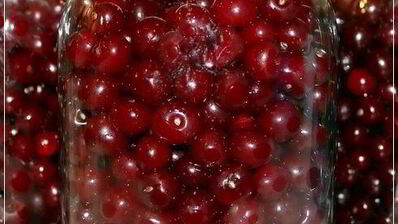 вишневая наливка