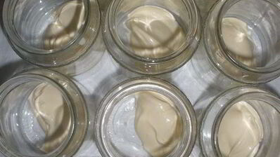 ряженка домашняя варенец