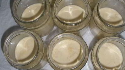 ряженка домашняя варенец