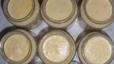 ряженка домашняя варенец