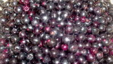 сироп из черноплодной рябины