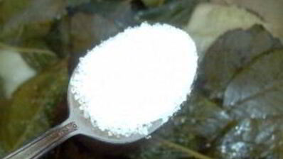 сироп из черноплодной рябины