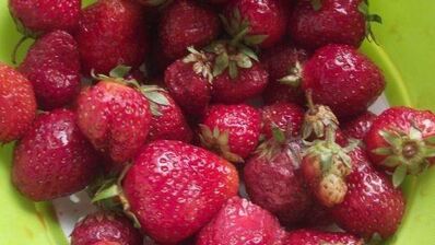 смузи из банана и яблок