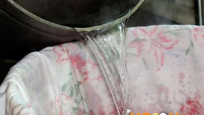 вино из войлочной вишни