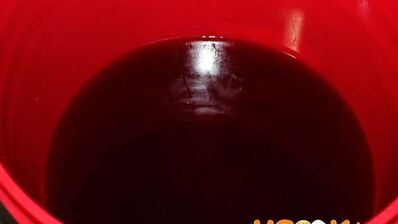 вино из войлочной вишни