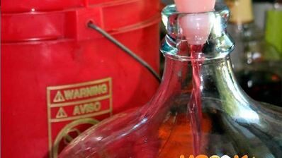 вино из войлочной вишни