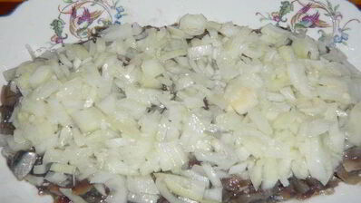 хамса под шубой