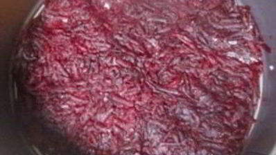 салат сельдь под шубой