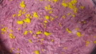 салат сельдь под шубой