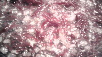 борщ в горшочках