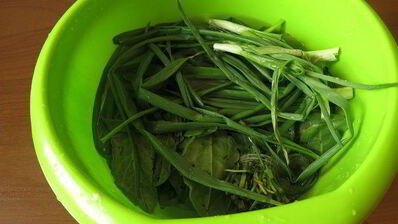 зеленый борщ с судаком