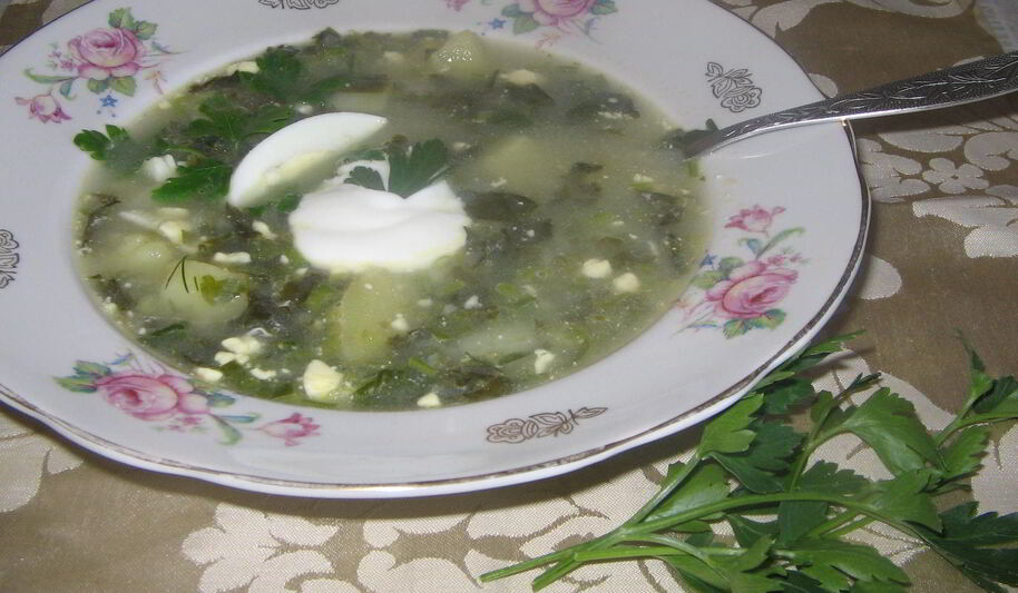 Рецепт щей из щавеля