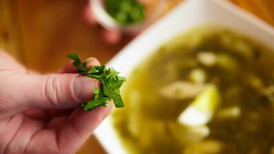 щи щавелевые