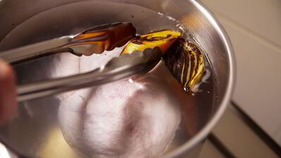 щи щавелевые