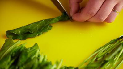 щи щавелевые