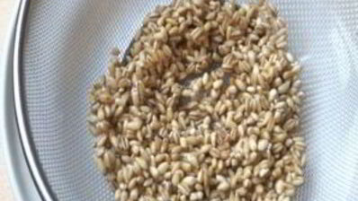 уральские щи с перловой крупой