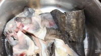 солянка из осетра