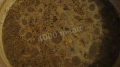 грибной суп-пюре на молоке из свежих грибов