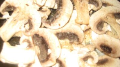 грибной суп-пюре на молоке из свежих грибов