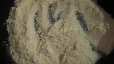 грибной суп-пюре на молоке из свежих грибов