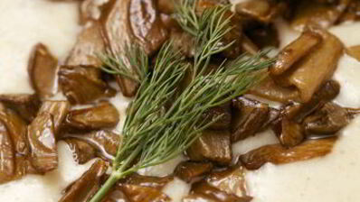 суп-пюре из перловки с грибами