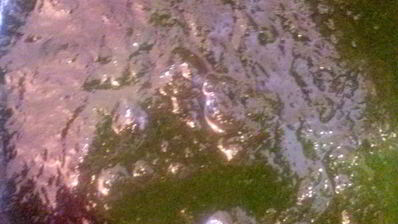 суп пюре из шпината замороженного со сливками