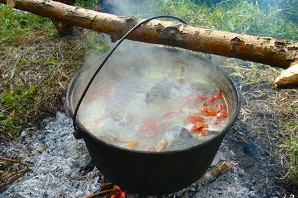 Уха из форели на костре