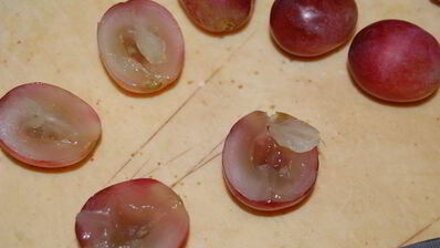 безумие 6 чизкейк ревень с виноградом