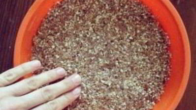 черничный чизкейк с орехами