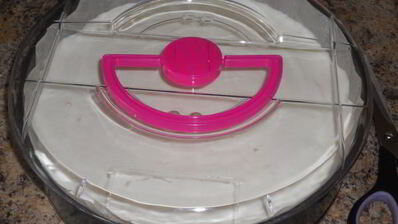 чизкейк с фруктами и желе