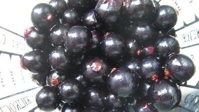 смородиновый чизкейк на хрустящей основе