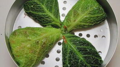 капустные конвертики