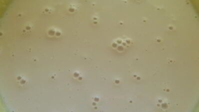 греческий пасхальный хлеб с анисом