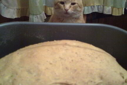 Тыквенный хлеб