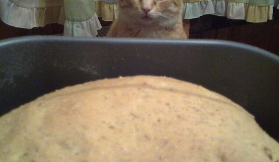 Рецепт тыквенного хлеба