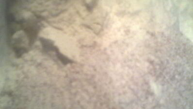 тыквенный хлеб