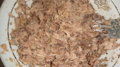 лаваш с тунцом