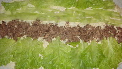 лаваш с тунцом